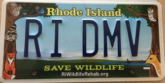 Wildlife Rehabilitators License Plate